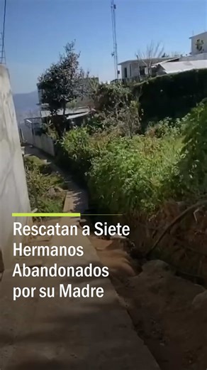 Las autoridades municipales de San Cristóbal de las Casas, en el estado Chiapas, México, se consternaron al conocer las condiciones en las que vivían siete hermanos, de entre los dos y trece años de edad, quienes fueron encontrados en una vivienda hecha en su mayoría de cartón. Vecinos de la zona señalaron que los niños se encontraban solos desde hacía varios días, por lo que alertaron a las autoridades. Por su parte, la presidenta municipal expresó su compromiso para apoyar y mejorar las condic