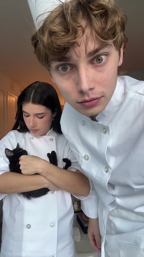 stupid rat dont wanna cook for me anymore | colette ratatouille