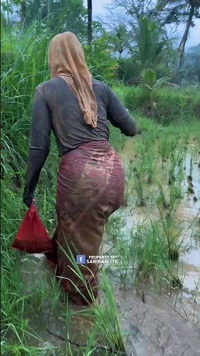 janda desa bohay berburu ikan 😁