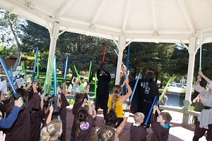 Star Warriors Birthday Parties | A Wish Your Heart Makes