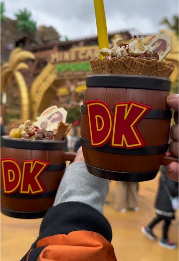 Donkey Kong Country Ride Experience at Universal Studios