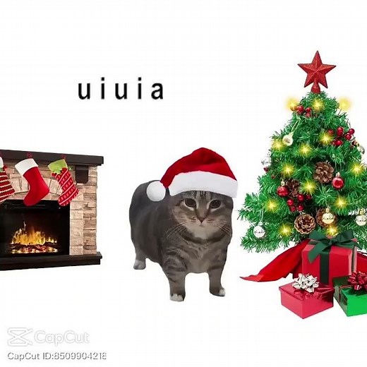 felix uiua🫰 #feliznavidad #noflop #gatos #cat #cute #memes