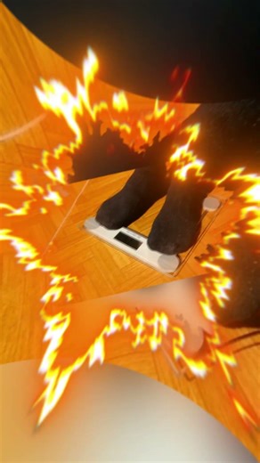 How to Track Your Progress | Fitness Progress Tracking Tips