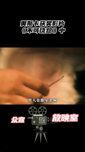 《不可饶恕》电影解说中