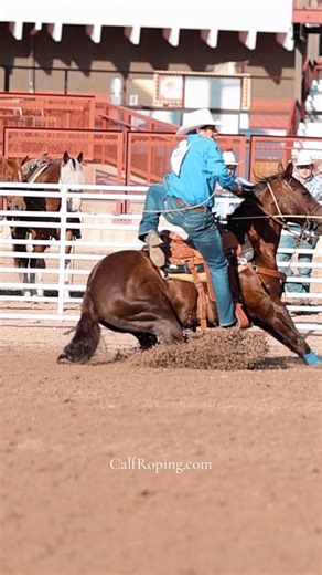 Just popping in to share some crispy Equinety powered footage of 2026 rookie contender Brodey Clemons. That’s all. 😮‍💨 | CalfRoping.com