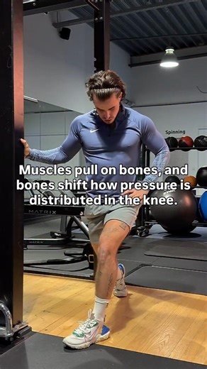 Muscles pull on bones. Bones shift joint mechanics
