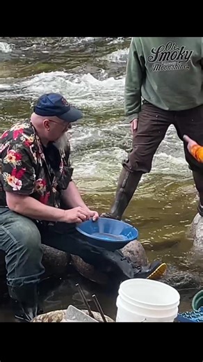 Hip Bee Explorer on TikTok