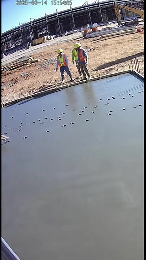 207K views · 348 reactions | Dogs Dash Across Wet Concrete! What happens when dogs meet fresh concrete? Generated using Kling AI . . . (For entertainment purposes only. Consult professionals if guidance on activities is presented. No brand affiliation is implied if any are shown. If inspired by true events, creative adaptations may be included. Content may include public footage.) | Fabiosa Belle | Facebook