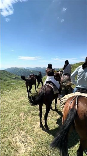 Ausflug 🇷🇺⛰️🐎 #Adygea #RussiaTravel #CaucasusMountains #AdygeaNature #ExploreRussia #WildCaucasus