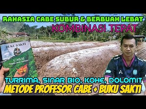 Pupuk dasar cabai rawit metode profesor cabe & buku sakti