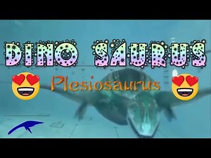 Plesiosaurus - The Sound Effects of Plesiosaurus