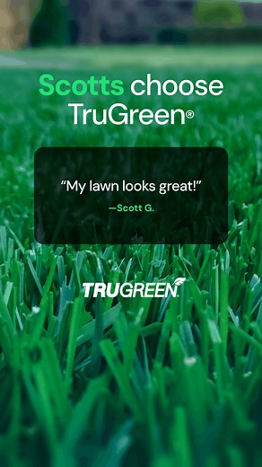 DIY sounds easy—until you waste your weekend and still see weeds. Just ask Scott. Actually... ask lots of Scotts. | TruGreen