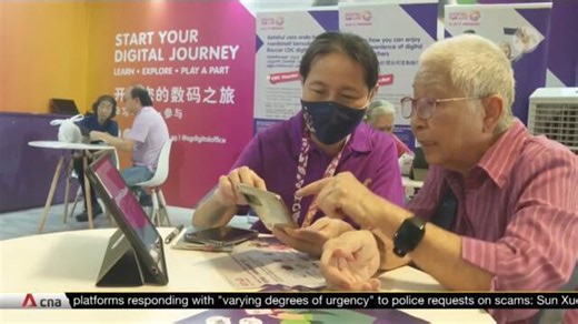 Singapore launches Digital Skills for Life