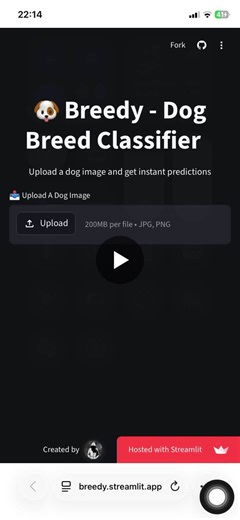 AI System Classifies Dog Breeds from Images with 78.97% Accuracy | Toby Chuks posted on the topic | LinkedIn