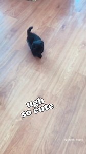 River Road Pharmacy & Gifts on Reels | Facebook