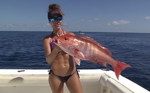 【和Luiza一起钓鱼】热辣的墨西哥海钓2