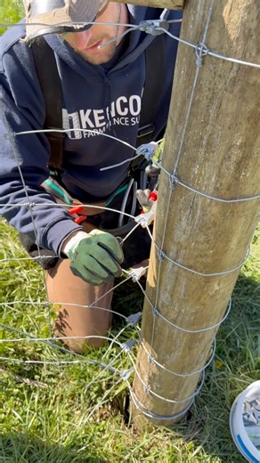 967K views · 5K reactions | Simplify woven wire terminations with Gripple #fenceinstallation #farming #farmtips #farmlife | Kencove Farm Fence Supplies | Facebook