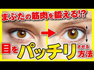 【目をぱっちりさせる方法】まぶたの筋肉を鍛える！？