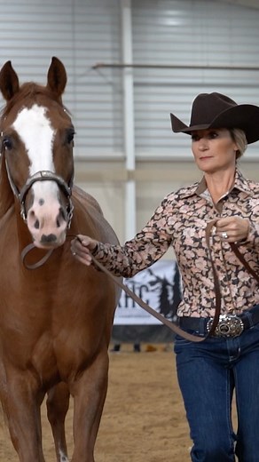 2K views · 36 reactions |  Who’s ready to get ranchy? Ranch Horse Championships is coming right up on September 3-4th at the Ranch Events Complex in Loveland, CO. Entries are due August 16th, click the link in bio to register. | Arabian Horse Association | Facebook