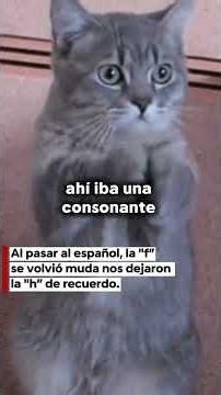 🐱Michi dice que te recomienda “El poder de escribir bien” de Larousse.🐾Apto para michis y humanos,