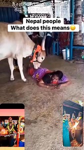 214K views · 2.7K reactions | Nepal culture shock you have to sleep with the cow. #nepal #fyp #gulf #asian #kenya #fupシforyou | Milly Asafi | Facebook