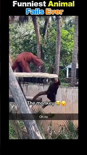 🐾😂 Top 7 Funniest Animal Fails Compilation 🔥