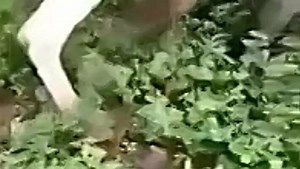 Подборки видео для вас — поиск Яндекса по видео