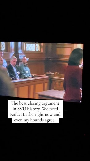 Rafael Barba is the feminist icon we need to show men how to fight for us. #svu #rafaelbarba #oliviabenson #sasurvivor #fyp