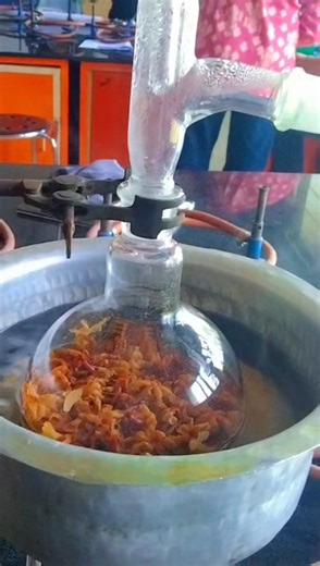 What is Hydrodistillation? #shorts #viral #science #lab