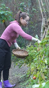 How to make jam from coconut pulp, gardening, and using organic fertilizer for vegetables. | Collection