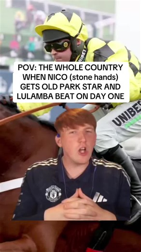 Nico knows how to get one beat🥲 #cheltenham #cheltenhamfestival #horseracing #fyp #viral