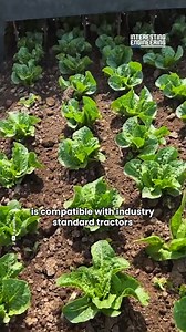 91K views · 313 reactions | This precision weeding system is compatible with industry standard tractors and can weed 8 rows at the same time without harming the plants. #engineering | Interesting Engineering | Facebook