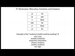Latin- 3rd Declension chant