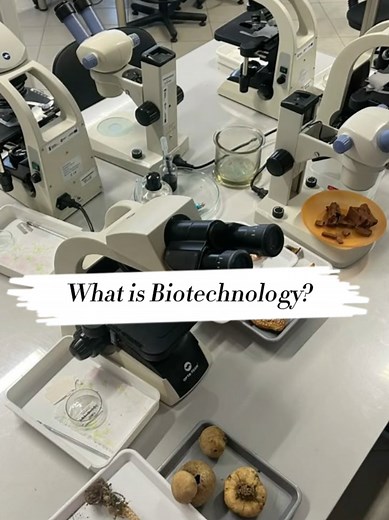 Understanding Biotechnology and Its Applications
