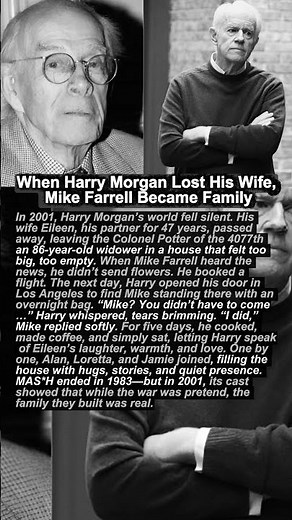 When Harry Morgan Lost His Wife, Mike Farrell Became Family 😢💔