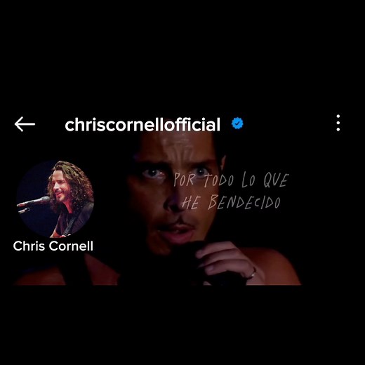 Audioslave Like a Stone Lyrics and Concert Performance