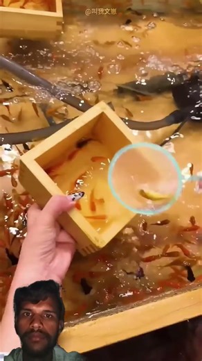 why this Goldfish Game is so hard 😍