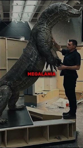 Animals that used to hunt humans(PART 2) — would you survive?