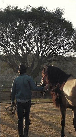 "Epic Cowboy & Horse Cinematic Scene 🐎 | Western Ranch Life in 4K"