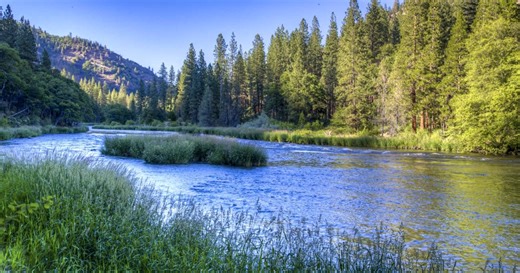 Klamath Basin Restoration: Bipartisan Infrastructure Law Projects | U.S. Fish & Wildlife Service