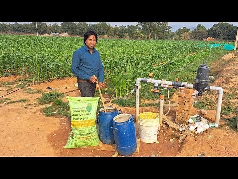 How to apply DAP fertilizer through drip. DAP Fertigation By Drip | Drip Irrigation |