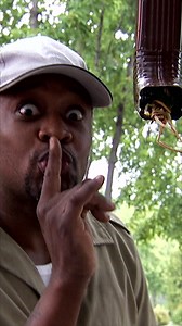 110K views · 2.3K reactions | #comedy | Just Kidding | Facebook