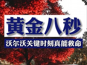 沃尔沃有多安全？黄金8秒能救命！