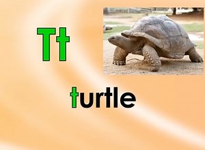 005. Rap Our Letter Sounds Jack Hartmann