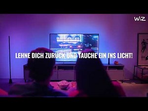 Installation der WiZ HDMI Sync Box
