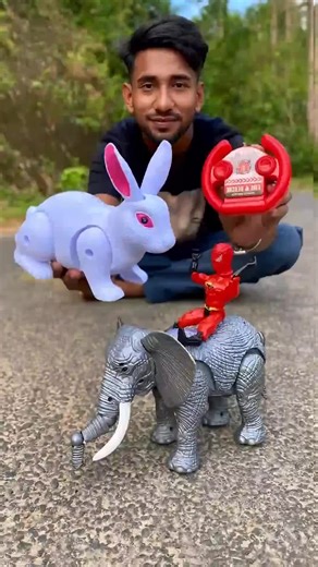 Exploring Remote-Controlled Animal Toys: Rabbit & Elephant