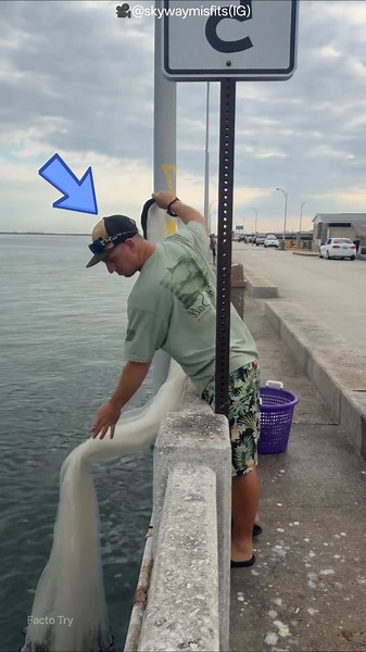 The Fisherman Expected a Giant Catch… But Got a Surprise! 🎣😲 #shorts