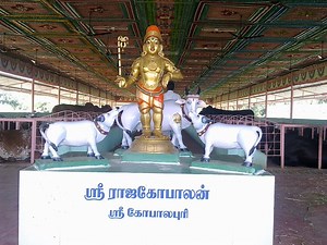 Unique Cowshed (Goshala) in South India