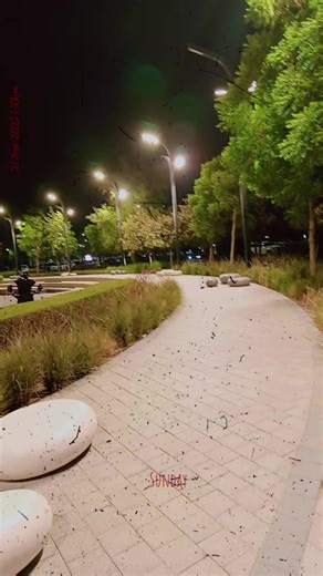 Silent Beauty, 💕💕 (@silent__beauty123)’s videos with Saiyaara Song Mashup By Sameer - 𝓫𝓮𝓮𝓷𝓲𝓼𝓱🪼