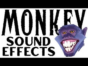 Monkey Sound Effects